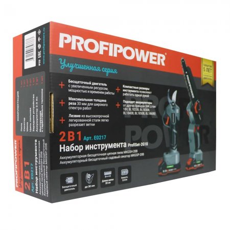 Аккумуляторный набор ProfiPower 2 в 1 ProfiSet-2G20 E0217 - Фото 2